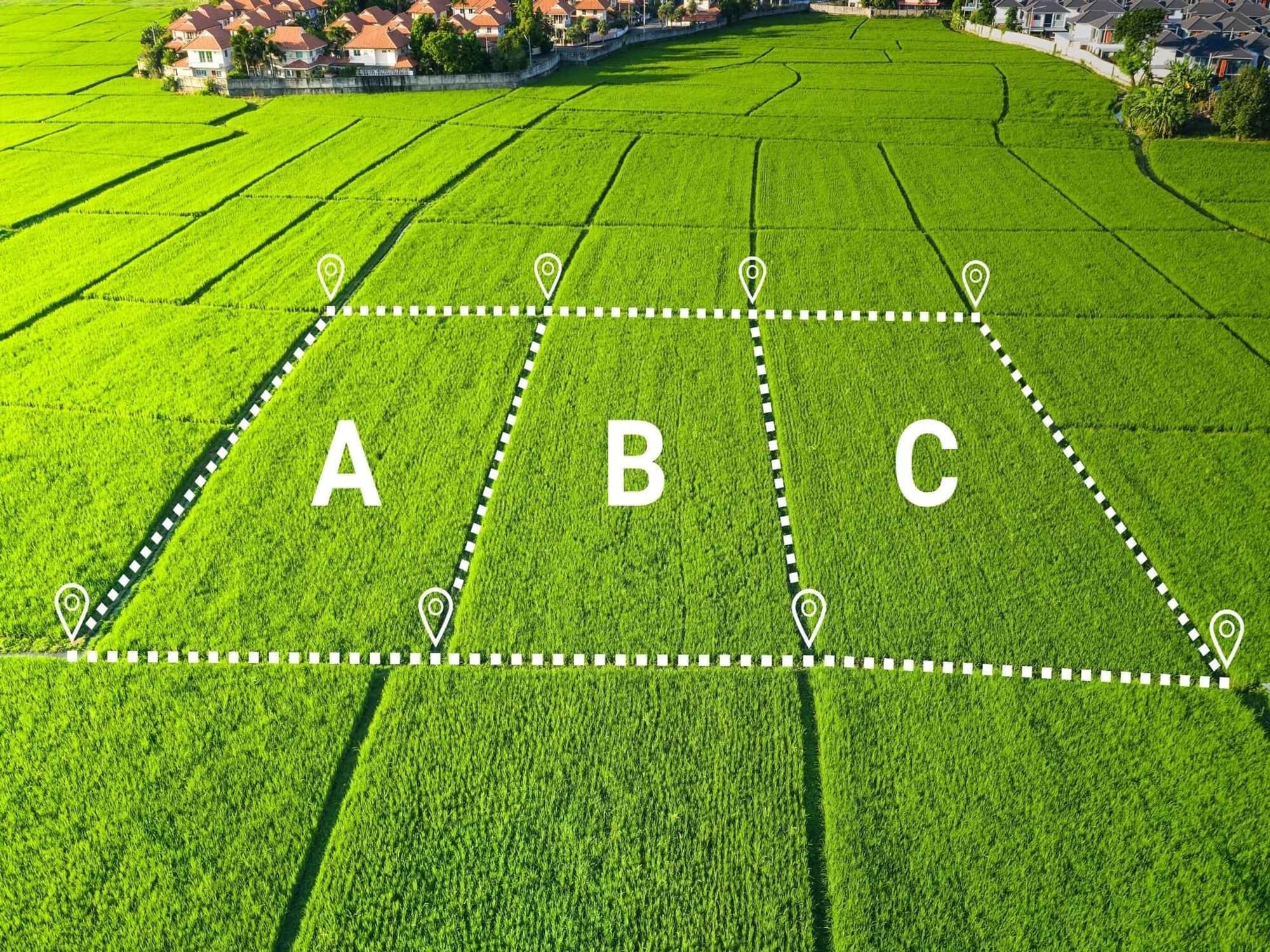 Aerial view of a field marked out by dashed lines into three separate plots, labelled A, B and C